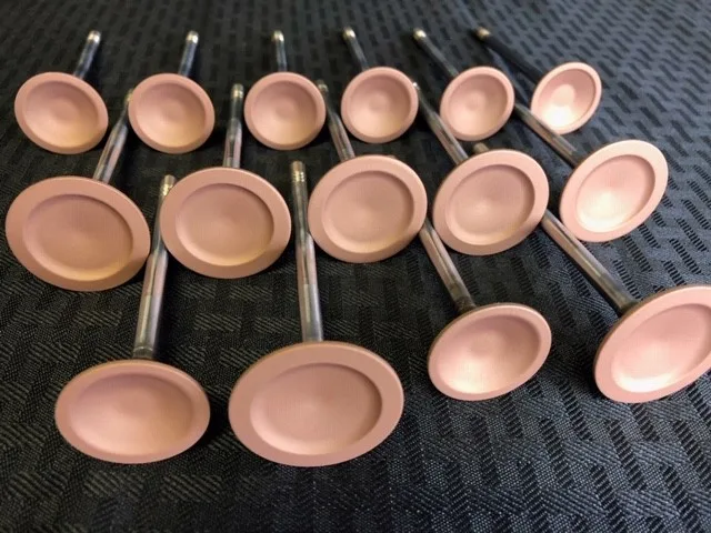 Valves Valves coated by IA Coatings